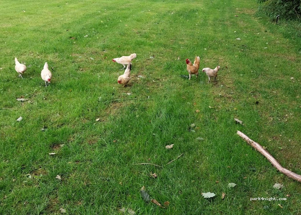 Camperplaats De Voortse Akker — foto 4