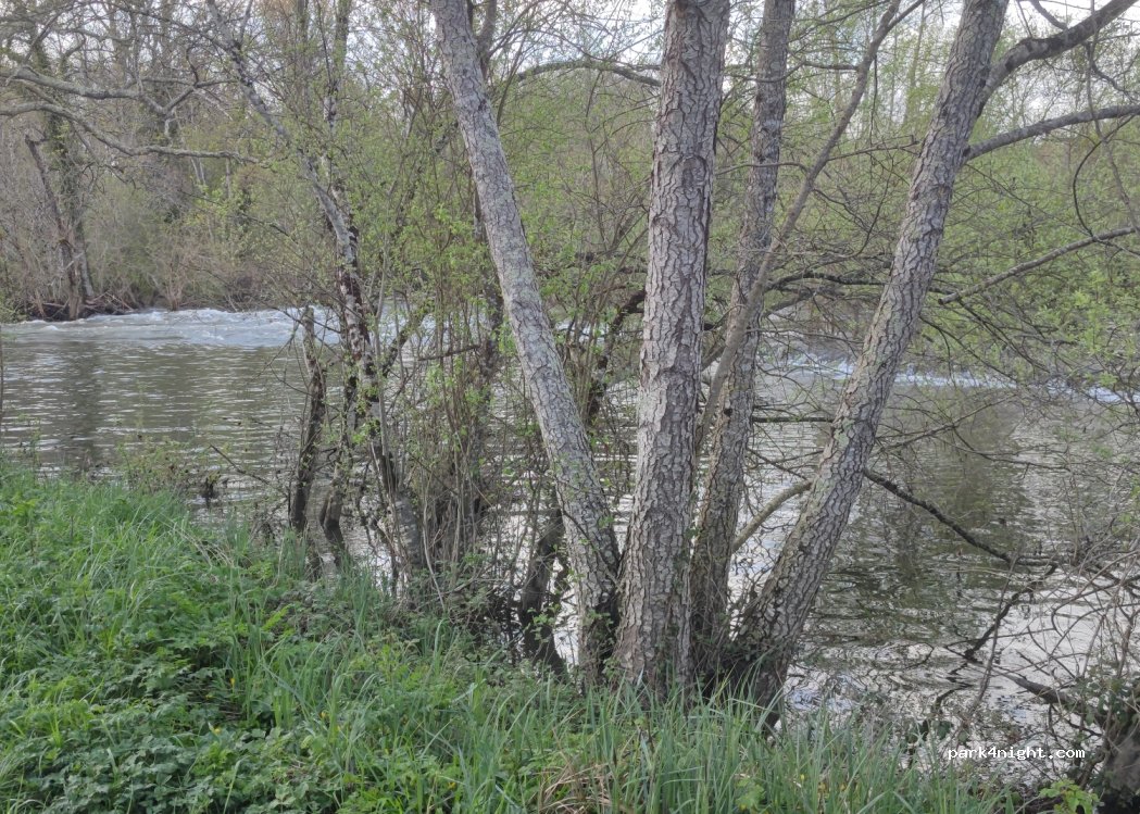 (24600) Saint-Méard-de-Drône - 155 Le Peychay — foto 3
