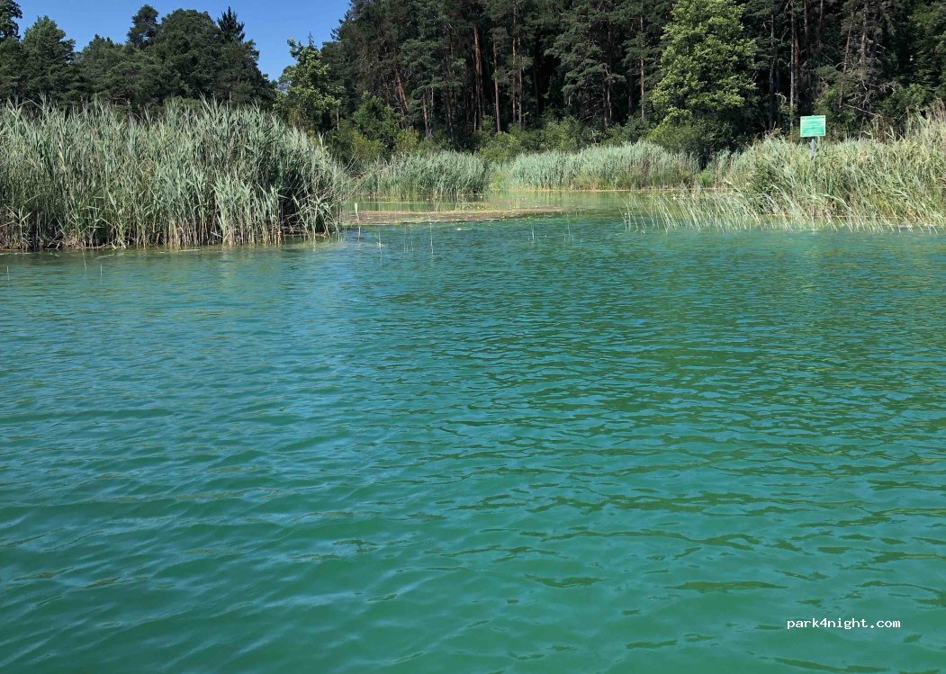 Campingplatz Fohnsee — foto 4