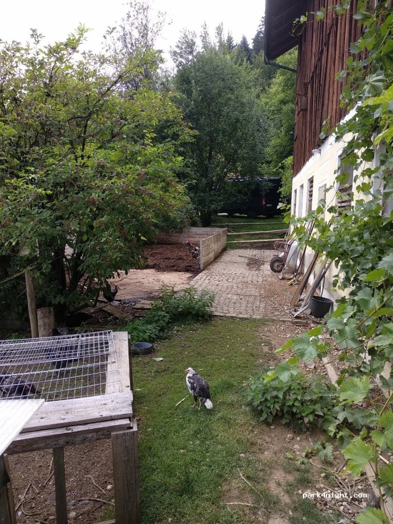 Ferienhof Schmauss — foto 2
