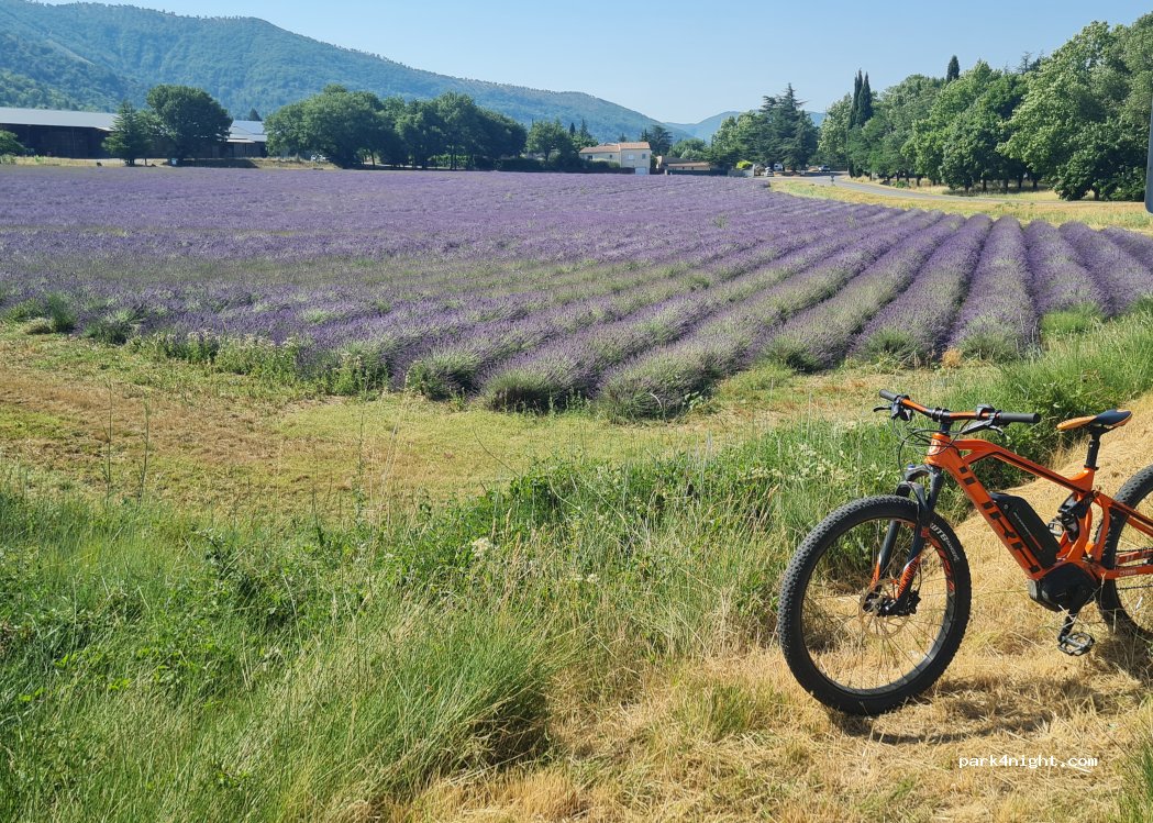 Camping La Pinède des Mées — foto 5