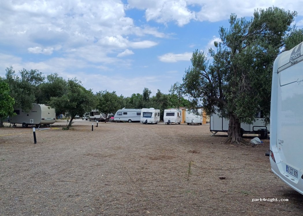Ginger Camping — foto 4
