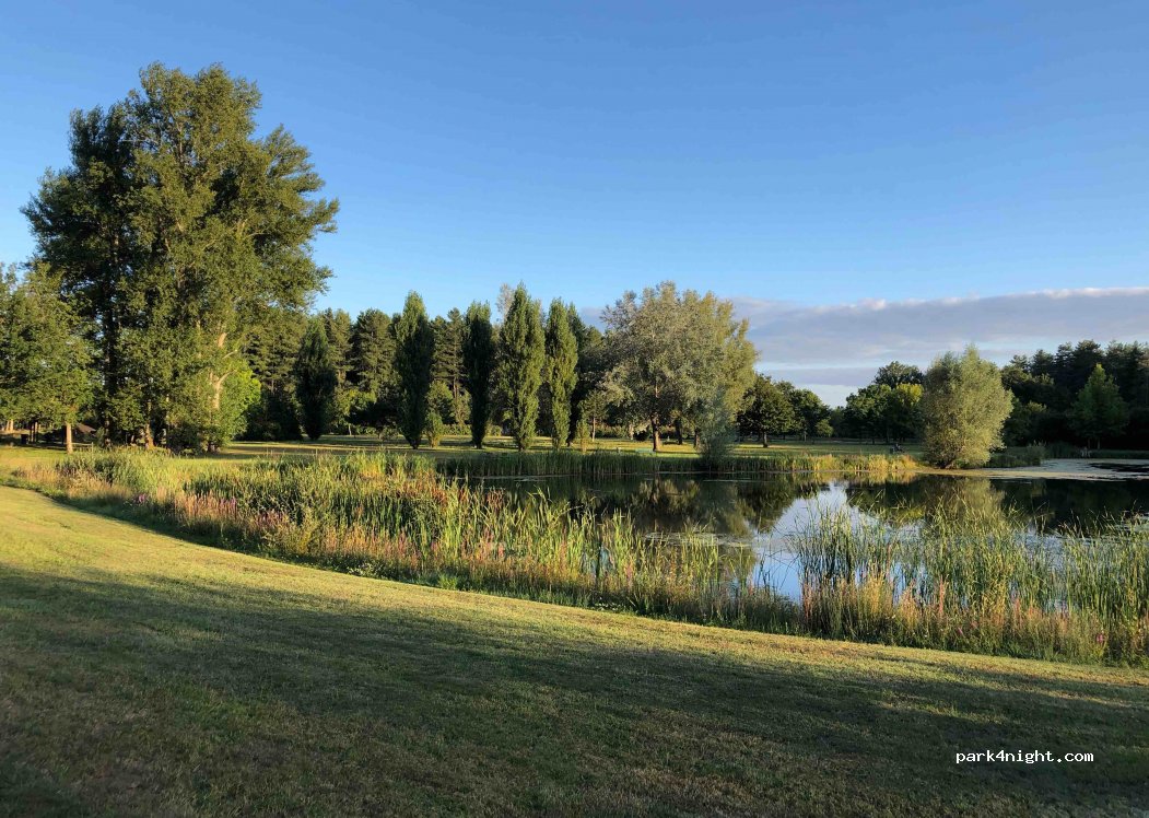 (41200) Pruniers-en-Sologne - 200 Résidence du Chêne — foto 3