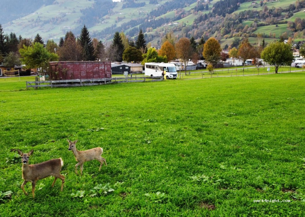 Campingwelt Brixen — foto