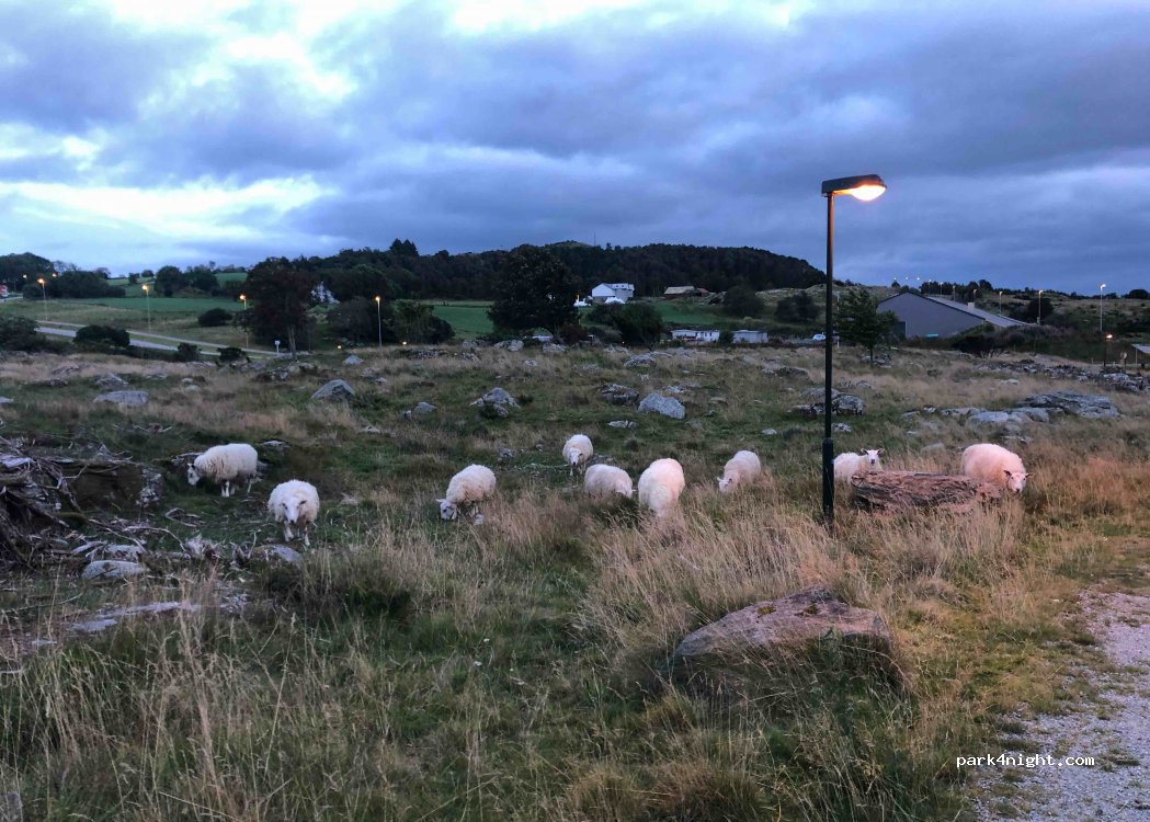 (4156) Mosterøy - 30 Sekundær Fylkesveg 563 — foto