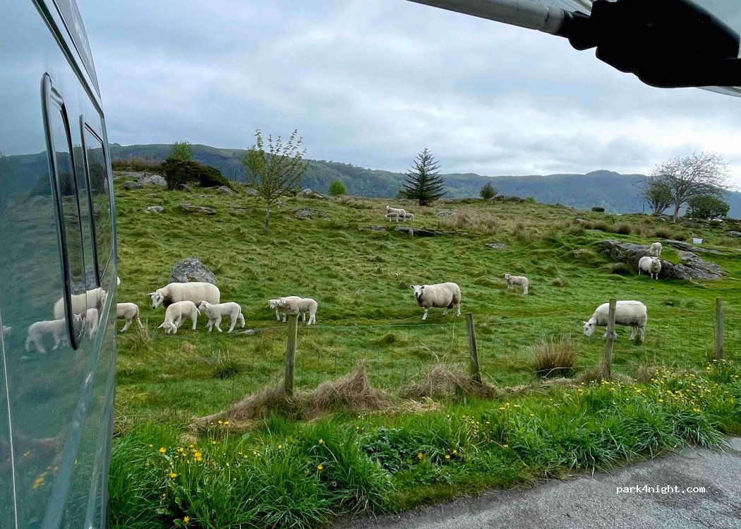 (4156) Mosterøy - 30 Sekundær Fylkesveg 563 — foto 4