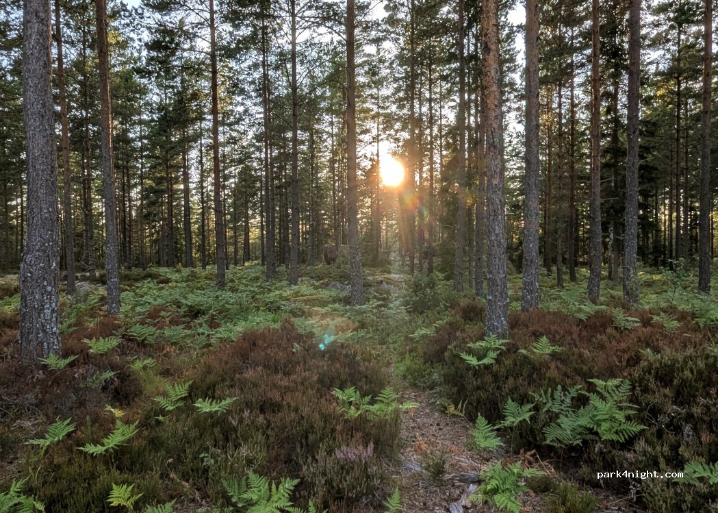 (570 81) Järnforsen - Unnamed Road — foto 5