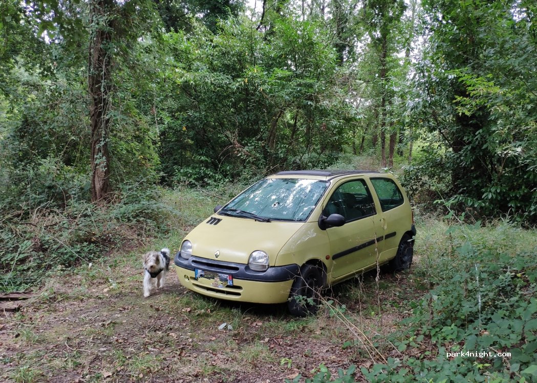 (33230) Coutras - Chemin des Petits Rois — foto