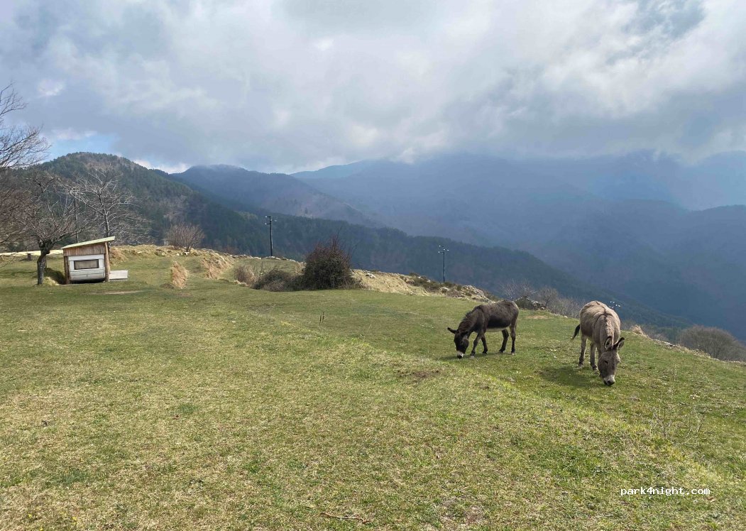 Agriturismo Il Rifugio — foto 2