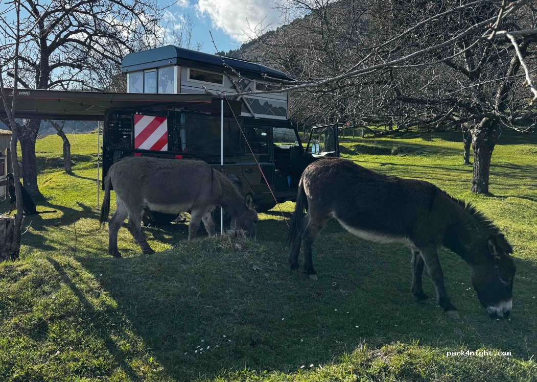 Agriturismo Il Rifugio — foto 5