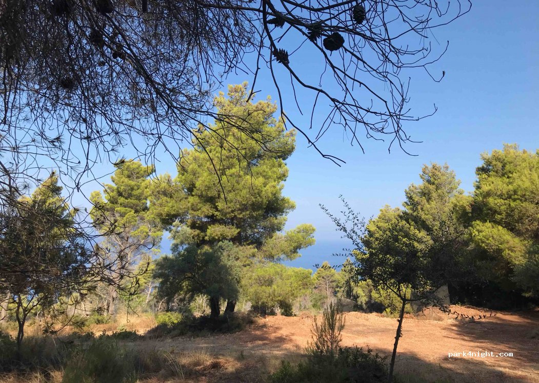 (310 82) Apollonioi - Egremni Road — foto 2