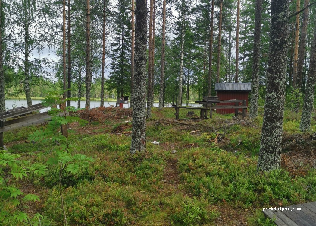 (905 95) Umeå - Unnamed Road — foto 3