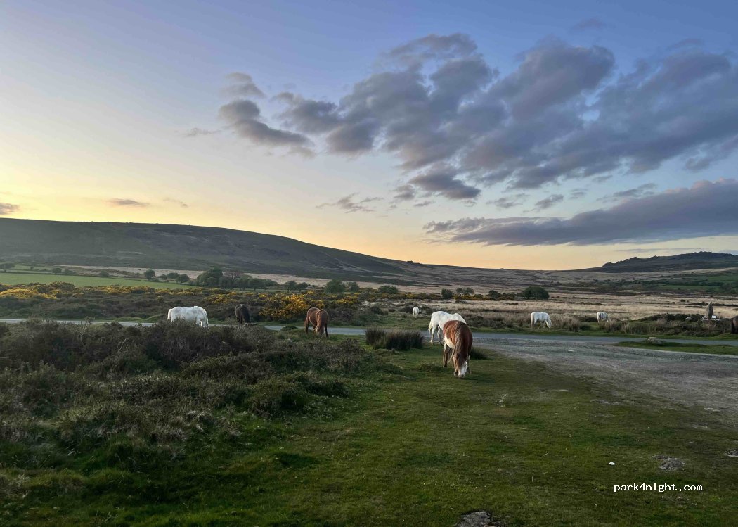 (SA66 7SN) Clynderwen - Unnamed Road — foto 4