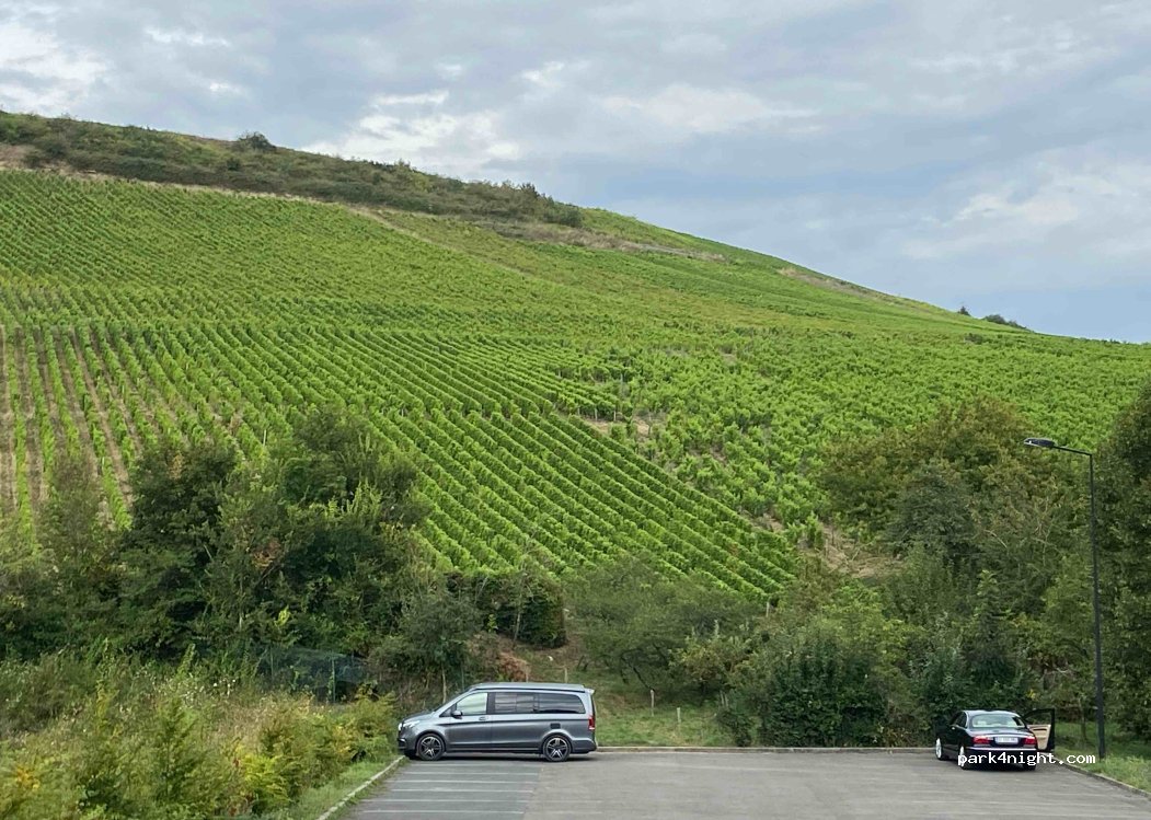(18300) Sancerre - 886 Chavignol — foto 3