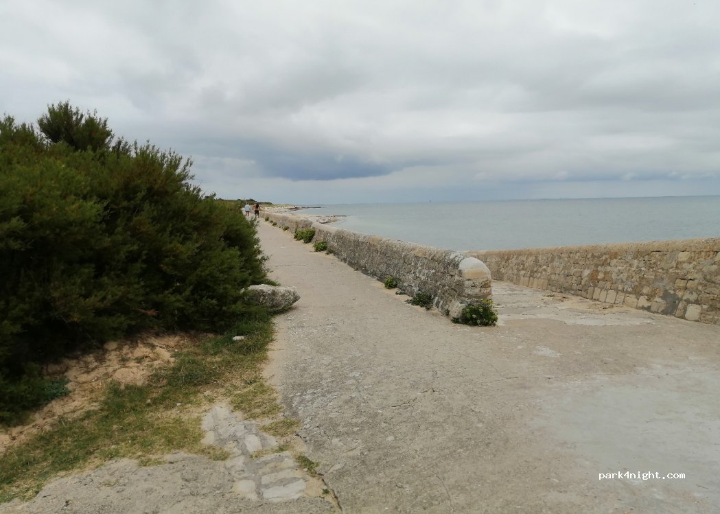 (17590) Ars-en-Ré - Route de Beauregard — foto 2