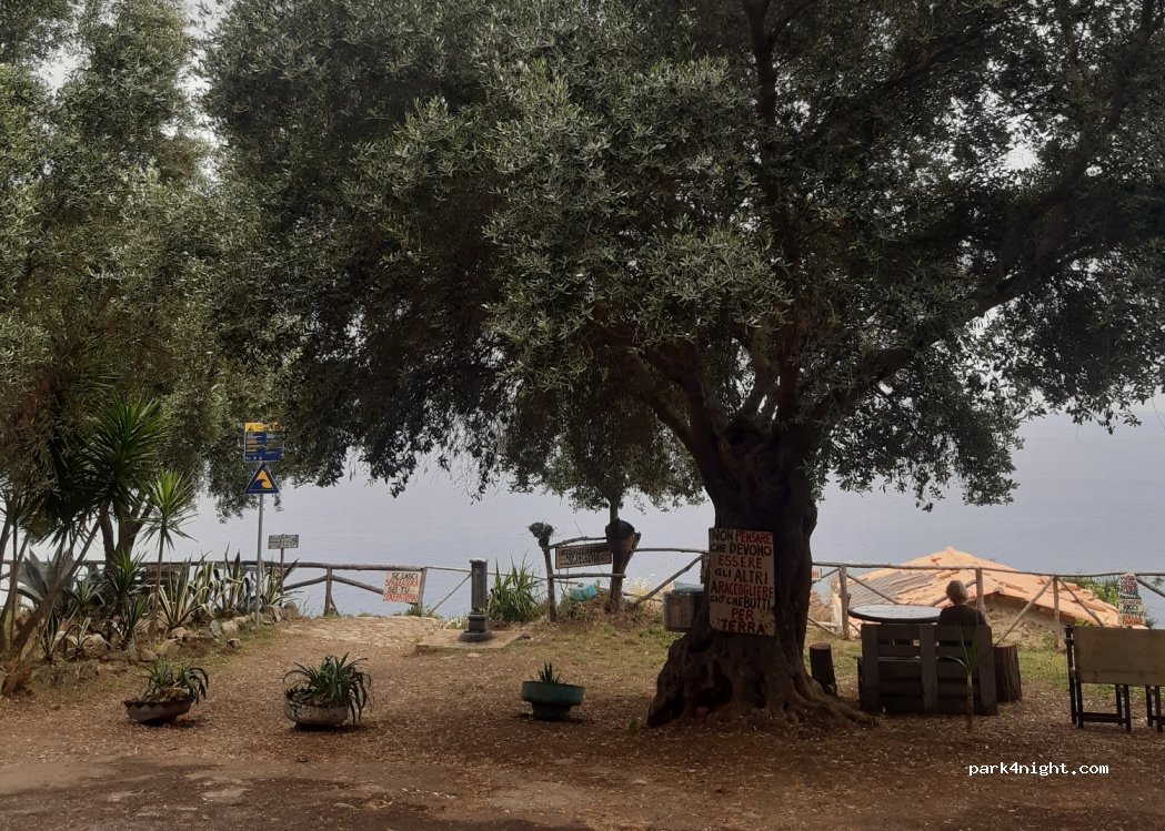 (89015) Palmi - Unnamed Road — foto 2