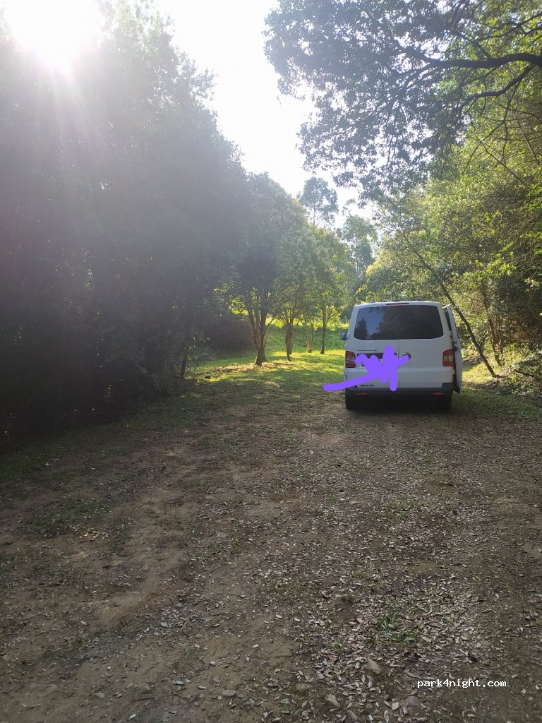 (39594) Luey - CA-181 — foto