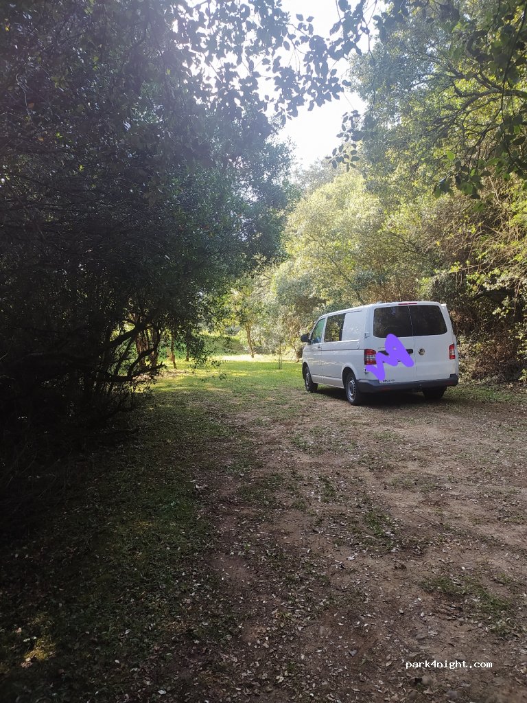 (39594) Luey - CA-181 — foto 2