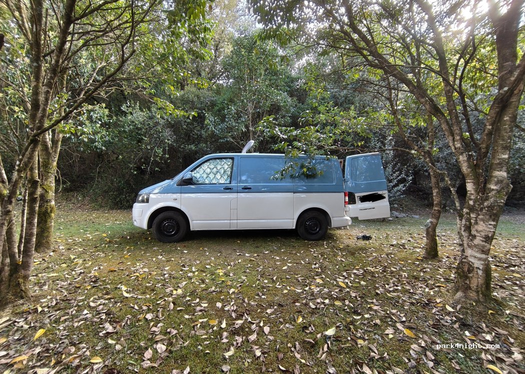 (39594) Luey - CA-181 — foto 4