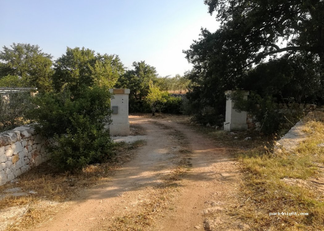 Il nido del gheppio — foto