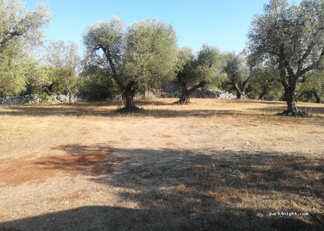 Il nido del gheppio — foto 4