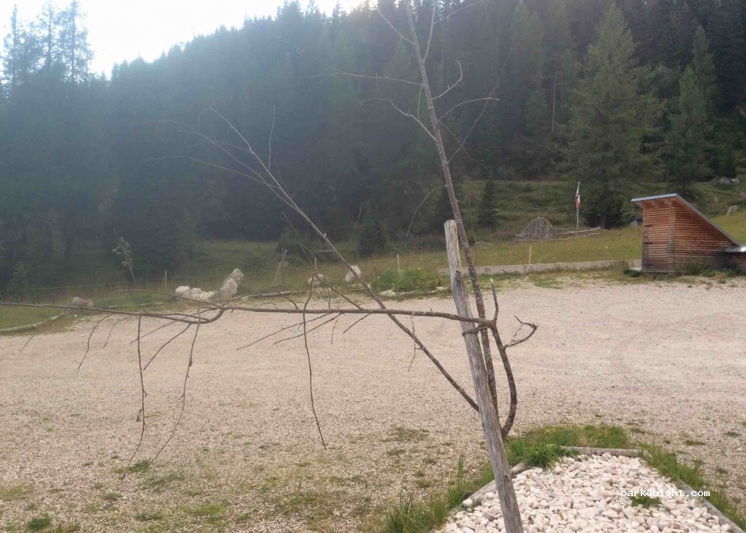 (38030) Soraga - Località Fuchiade — foto