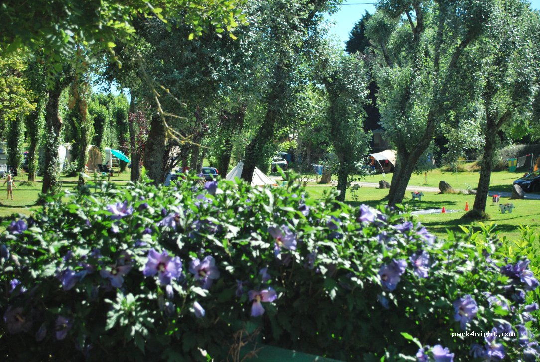 Camping les Tournesols — foto 2