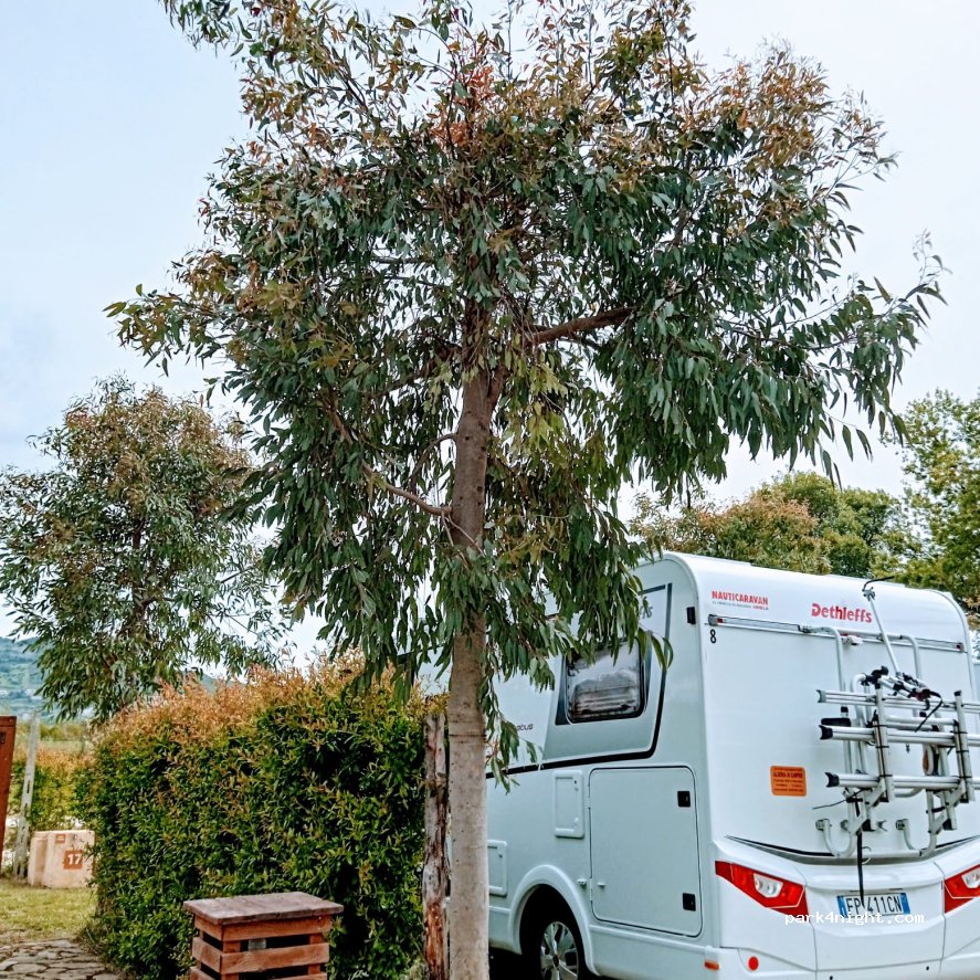 Camping La Tranquillità di Azienda Agricola Rizzo Giuseppe — foto 5