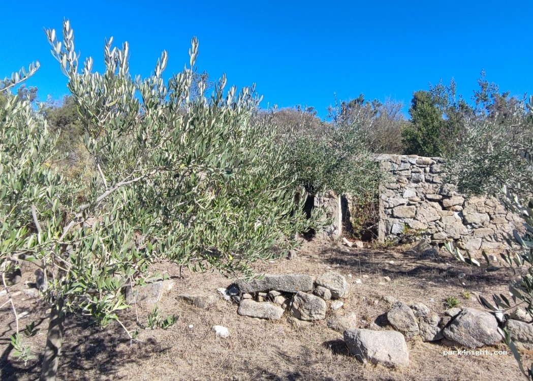 (57034) San Piero In Campo - 473 Via Badaracchi — foto