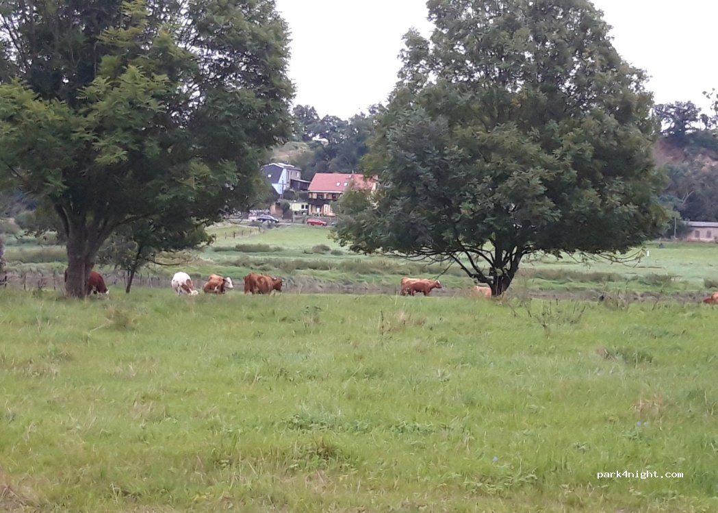 (01665) Diera-Zehren - 38 Niedermuschützer Straße — foto