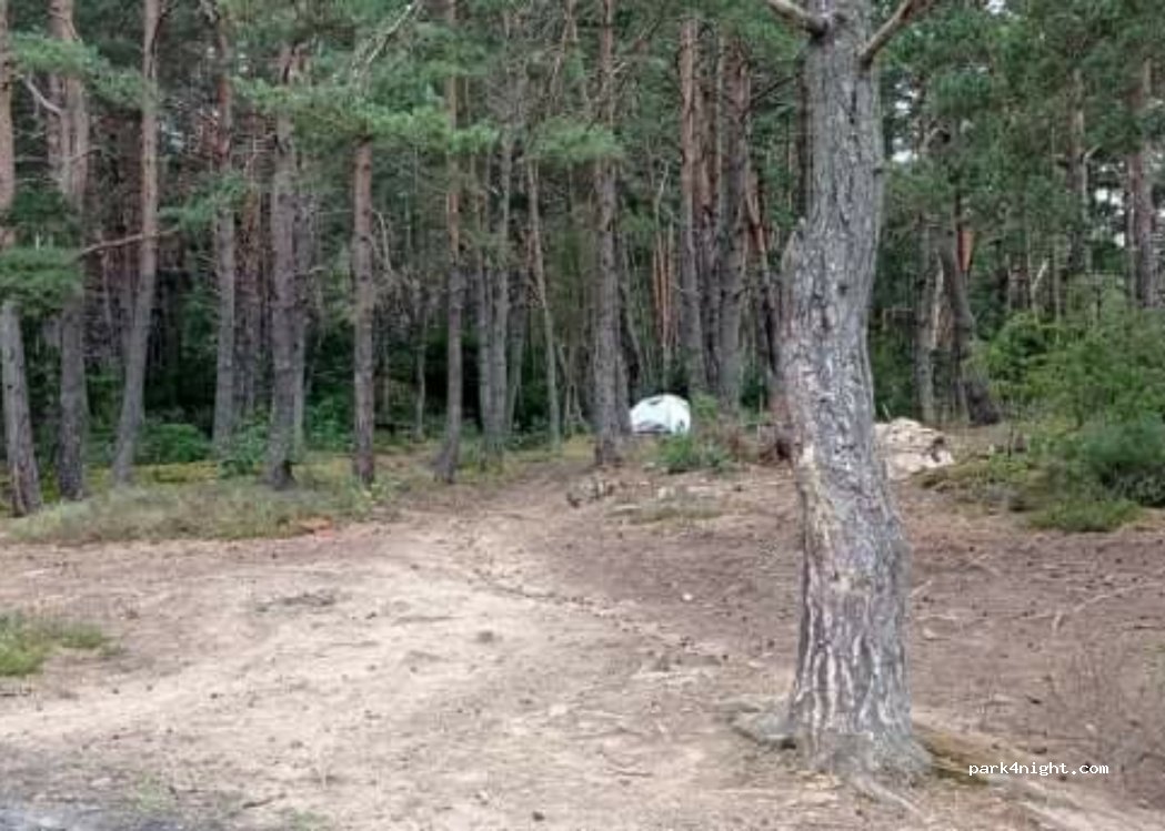 (15100) Anglards-de-Saint-Flour - Unnamed Road — foto