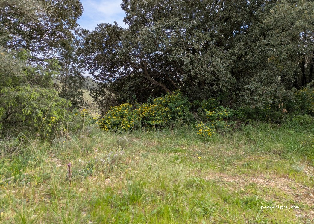 (34150) Puéchabon - Unnamed Road — foto 5