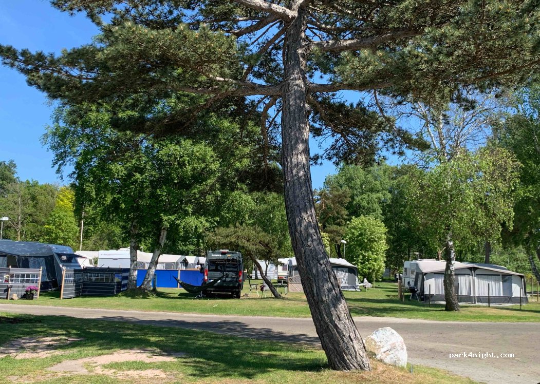 Nybrostrand Camping — foto 4