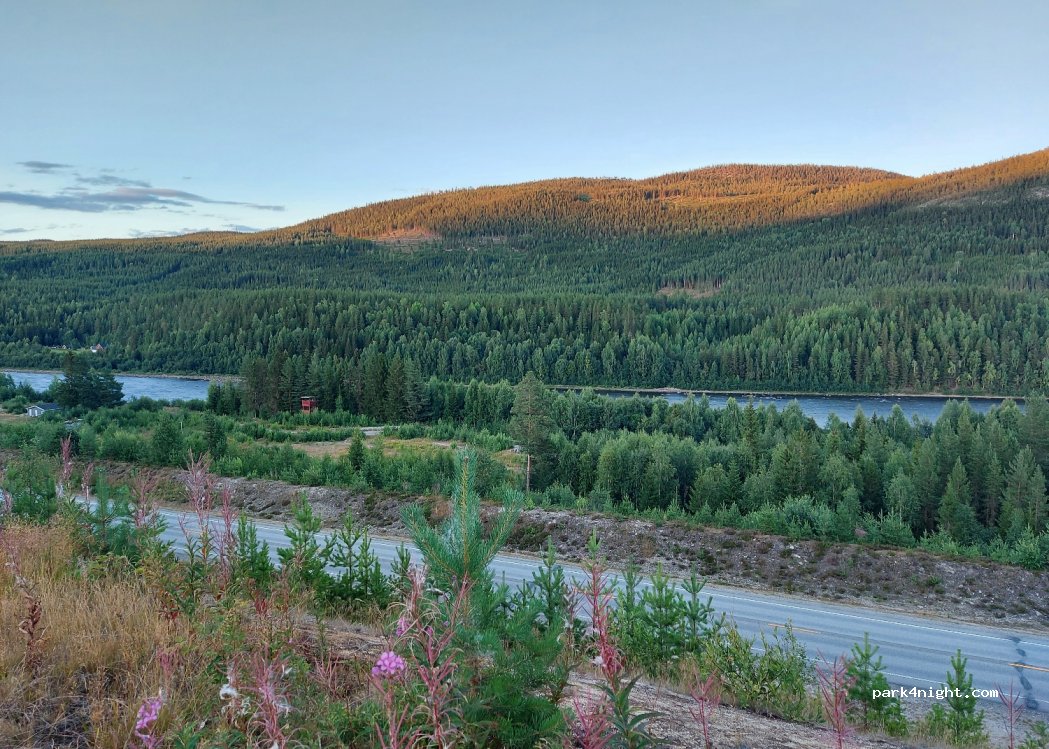 (2476) Innlandet - Nord-Østerdalsveien — foto