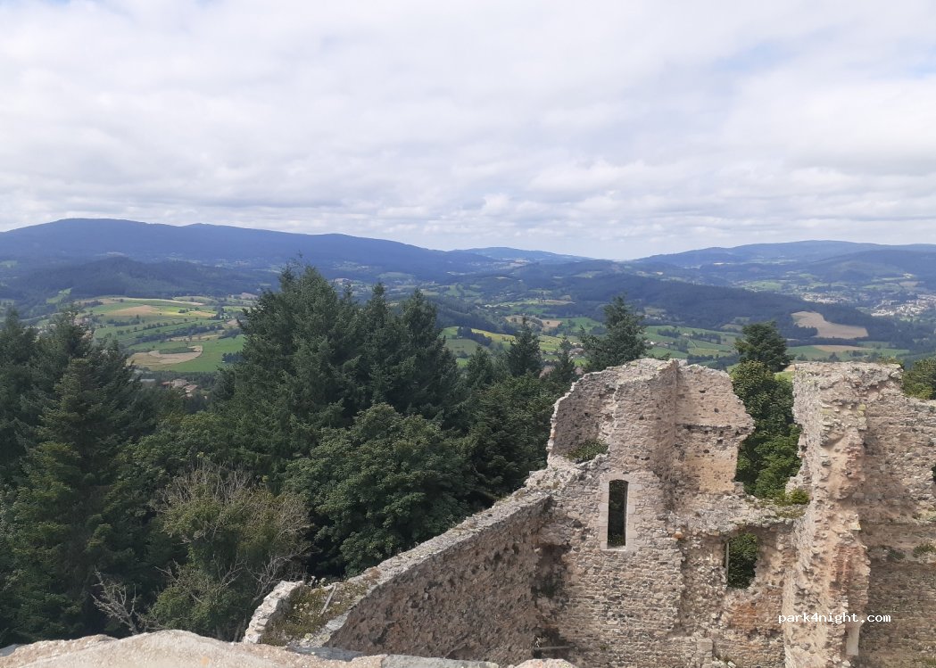 (42430) Champoly - Bois d'Urfé — foto 2