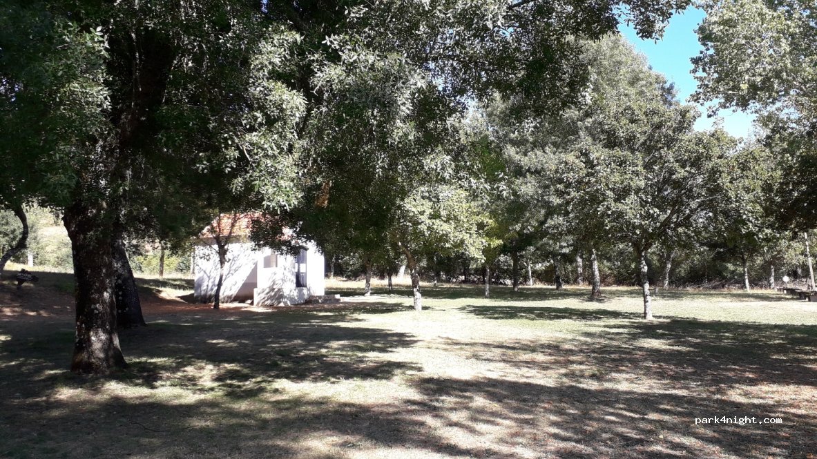 (5300) Espinhosela - N308 — foto 2