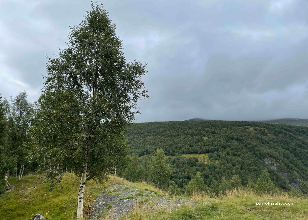 (7340) Oppdal - — foto 2