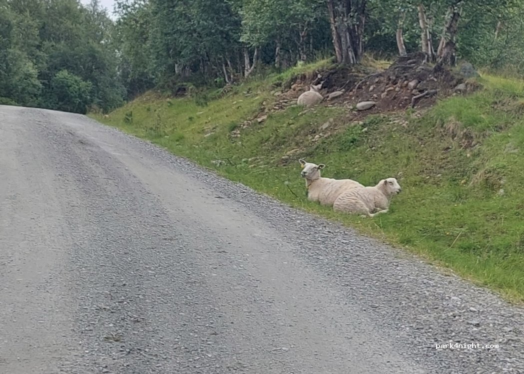 (7340) Oppdal - — foto 3