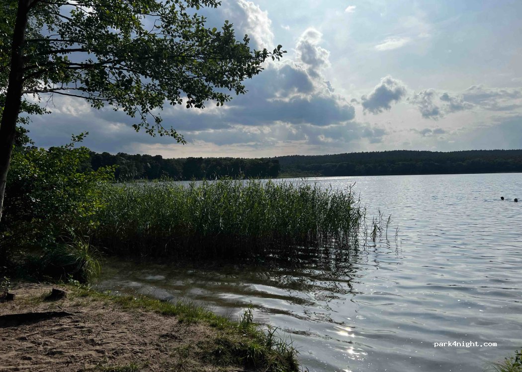 (15864) Wendisch Rietz - 46 Am Glubigsee — foto 2