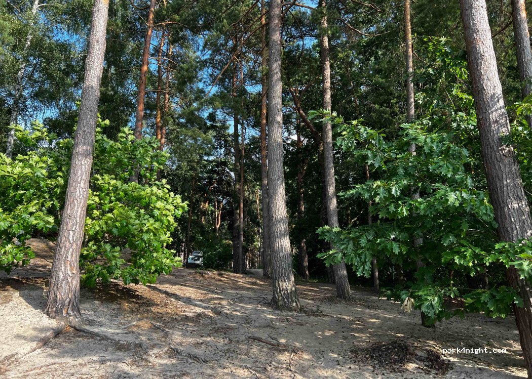 (15864) Wendisch Rietz - 46 Am Glubigsee — foto 3