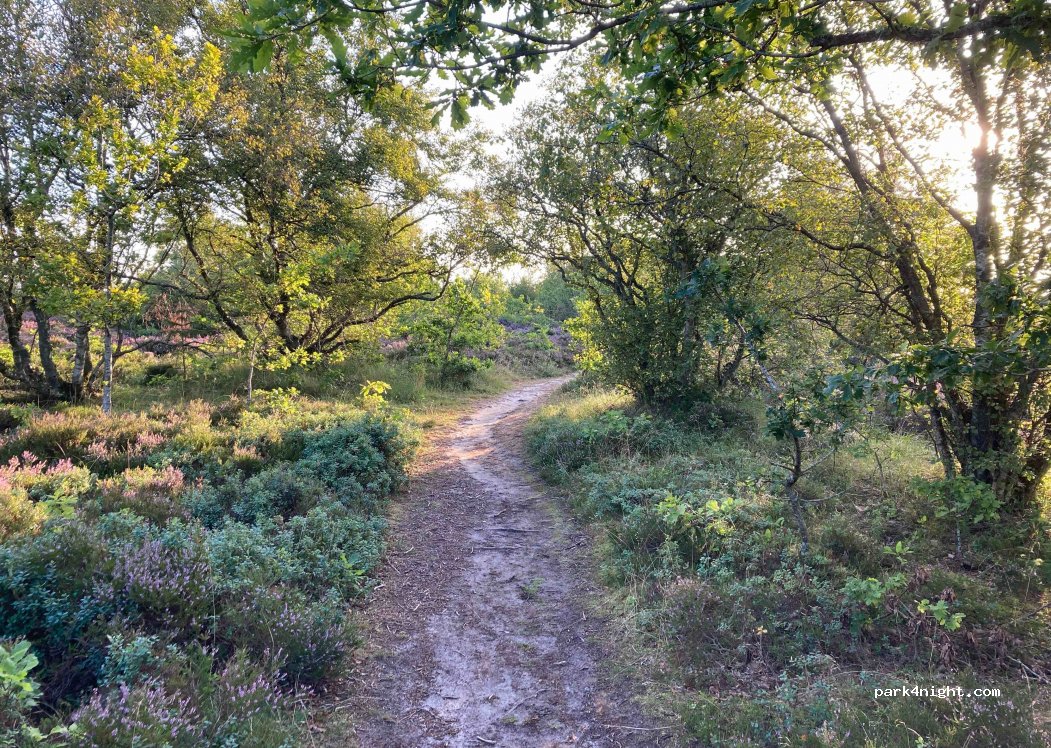 (9560) Hadsund - Dokkedalvej — foto