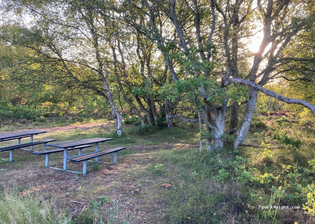 (9560) Hadsund - Dokkedalvej — foto 2