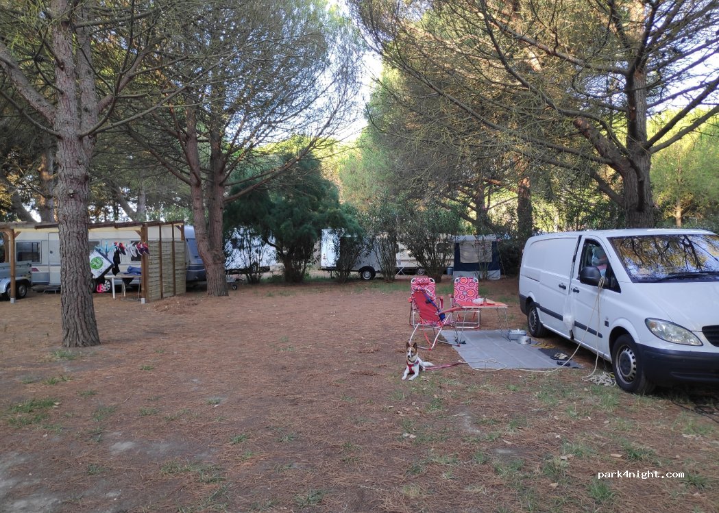 Camping Les Chardonnerets — foto