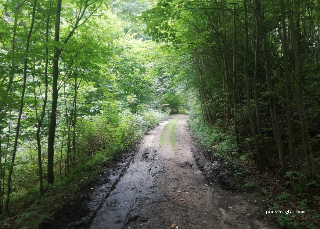 (58) Jelenia Góra - 11 Pod Chojnikiem — foto 2