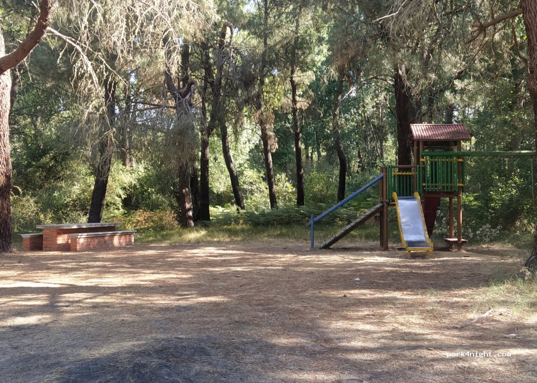 (40352) Aguilafuente - Unnamed Road — foto 2