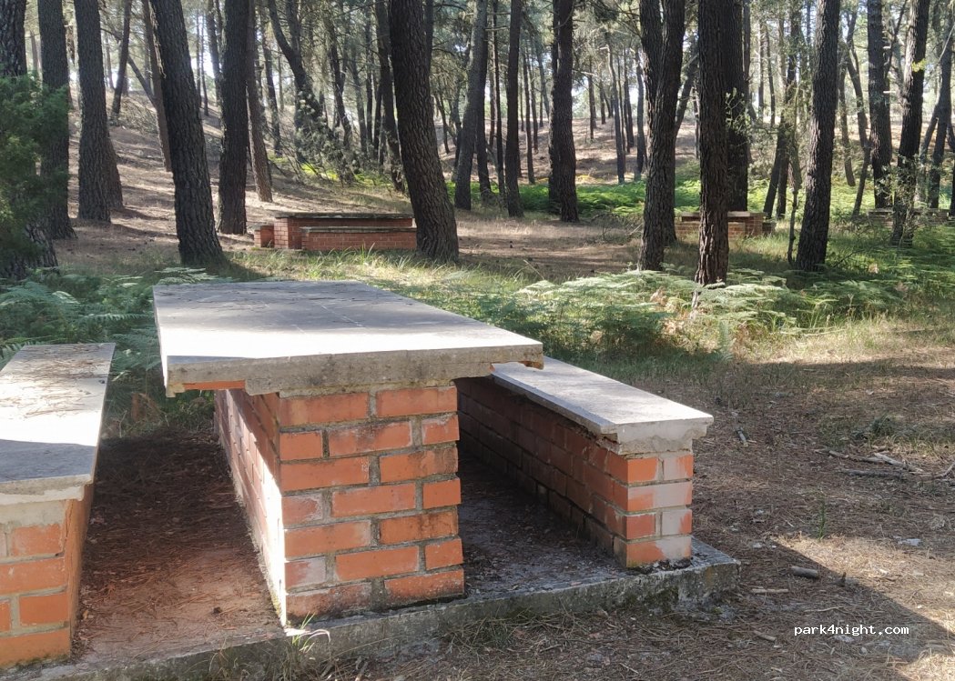 (40352) Aguilafuente - Unnamed Road — foto 3