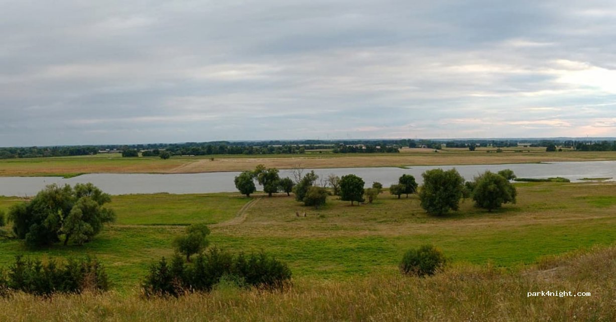 (74-505) Gozdowice - 41 Droga Wojewódzka 126 — foto 2