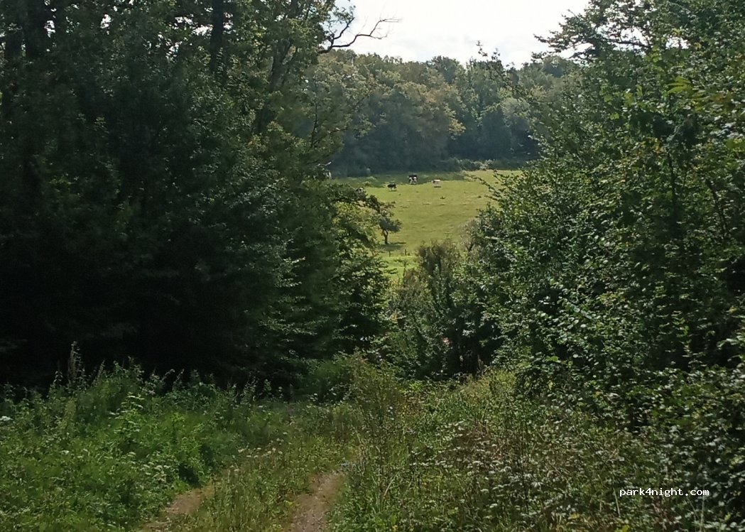 (88700) Domptail - Unnamed Road — foto 2