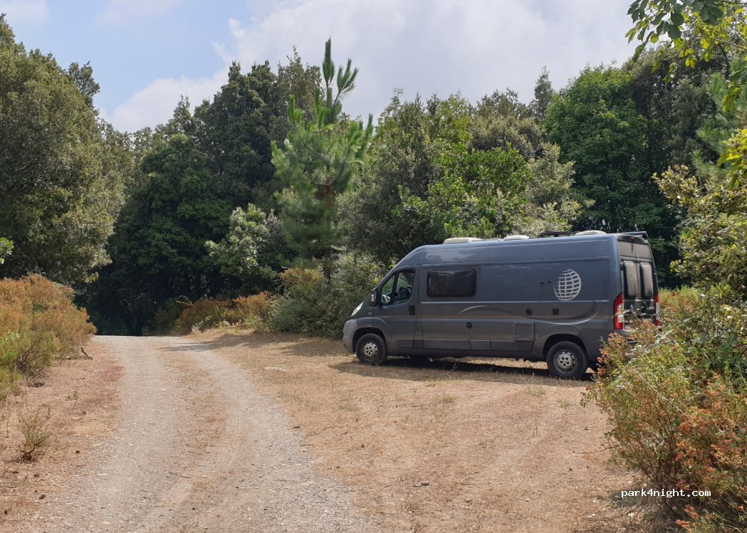 (20240) Poggio-Di-Nazza - Unnamed Road — foto
