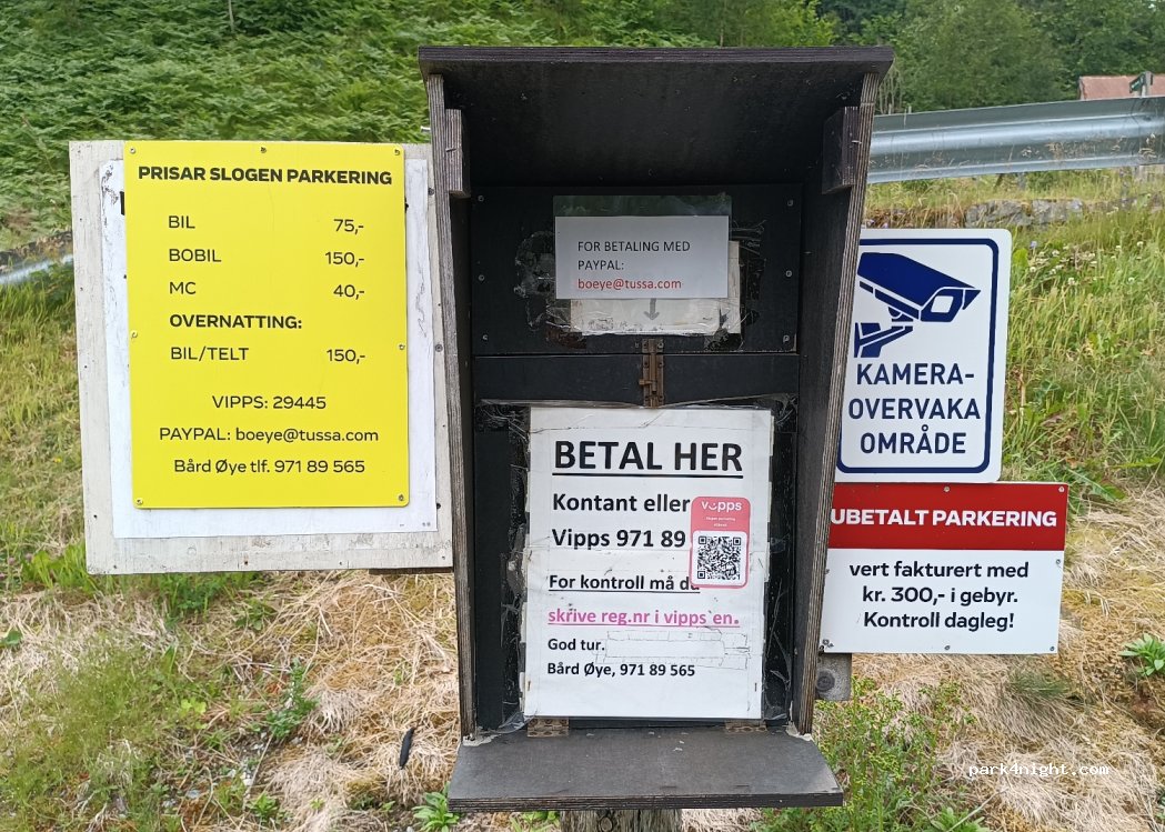 (6196) More og Romsdal - 10 Primær Fylkesveg 655 — foto 4